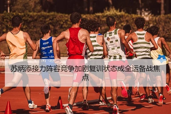 苏炳添接力阵容竞争加剧复训状态成全运备战焦点